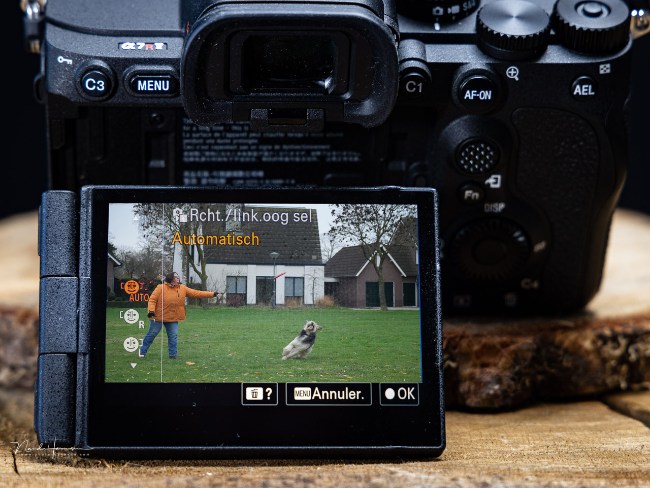A7V Sony Mirrorless: Ideal for Creators with High Demands